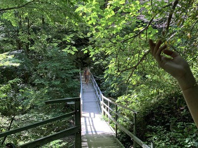 Krasnaya Volya → Dry Psakho Canyon Loop