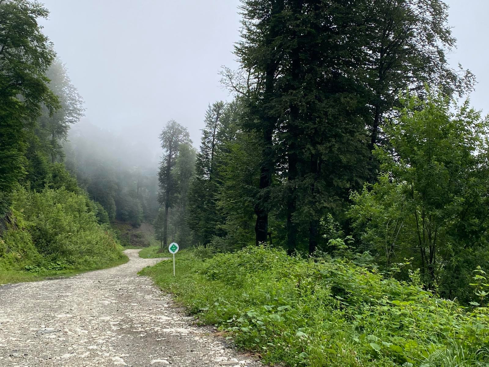 Rosa Plateau → Yeti → Lake Traverse